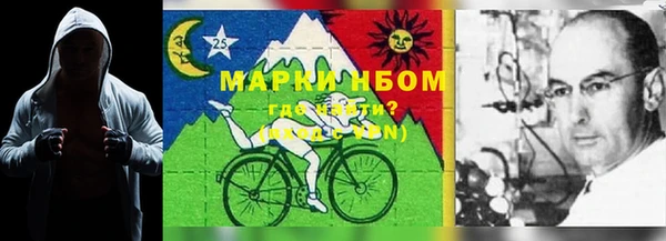 ГАЛЛЮЦИНОГЕННЫЕ ГРИБЫ Вяземский