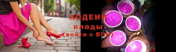 ГАЛЛЮЦИНОГЕННЫЕ ГРИБЫ Вяземский