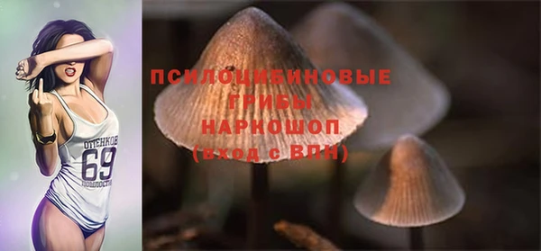 стафф Вязники