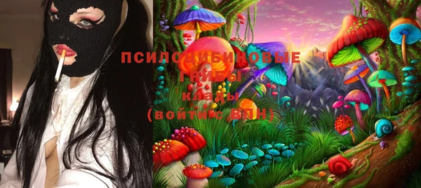 ГАЛЛЮЦИНОГЕННЫЕ ГРИБЫ Вяземский