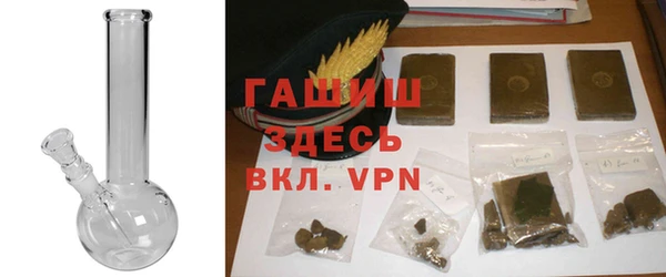 ГАЛЛЮЦИНОГЕННЫЕ ГРИБЫ Вяземский