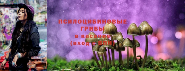 ГАЛЛЮЦИНОГЕННЫЕ ГРИБЫ Вяземский
