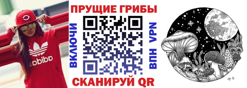 Купить  Киселёвск  Галлюциногенные грибы GOLDEN TEACHER 